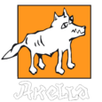 Akella-logo_resize_trans